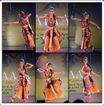 VaidehiKulkarni 